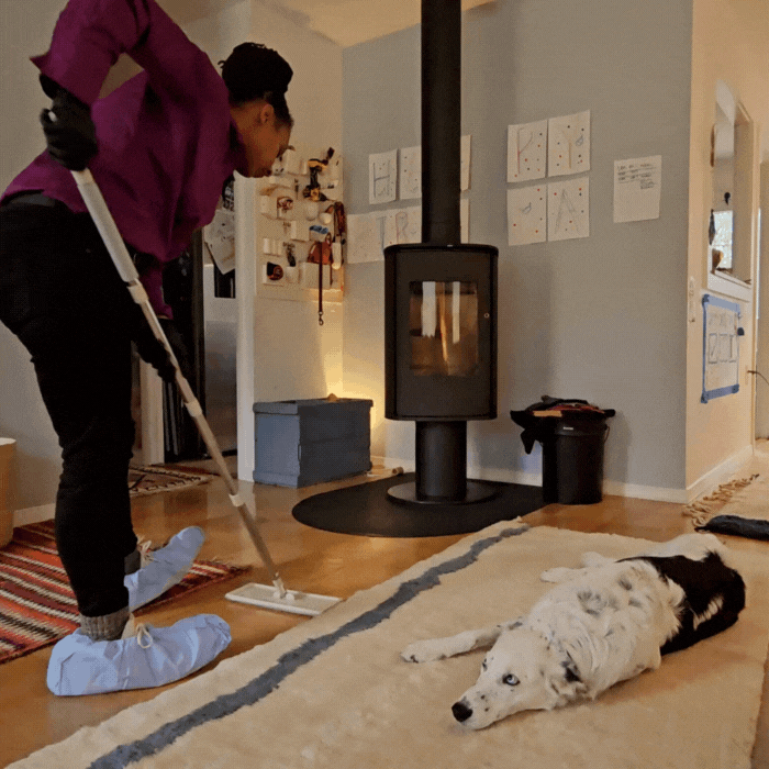 Pet friendly eco clean