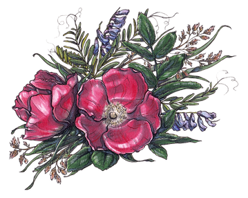 Digitale bloemen 7 rimpelroos.tif