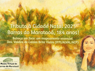 Babaçu: um mapeamento essencial para Barras do Marataoã