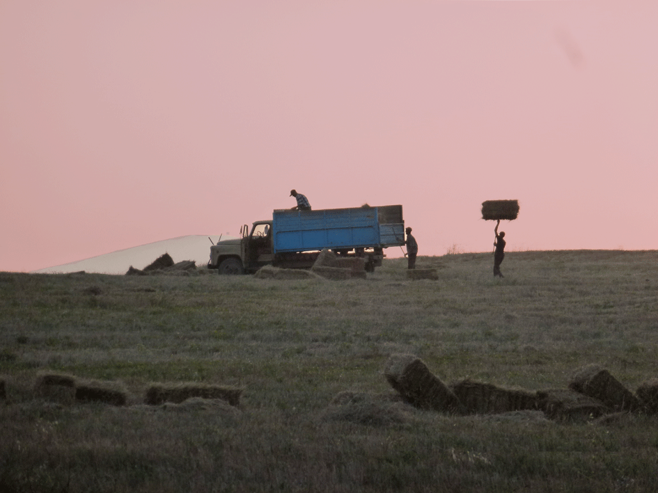 le-camion.gif