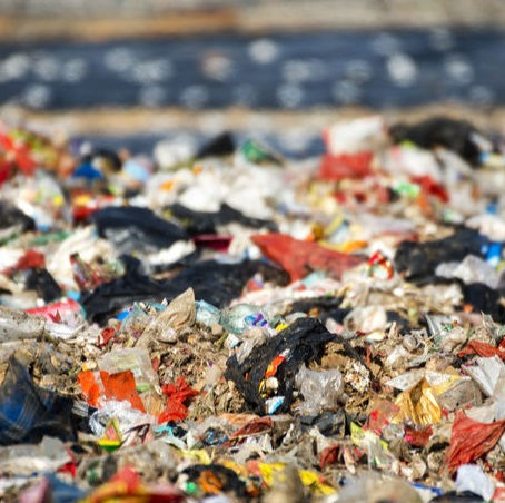 low-waste: one year down