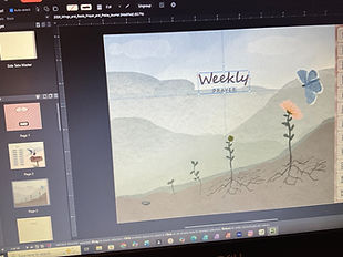 IMG_6DB61A5F-BD50-4367-8FD6-5E580DF8F9F3