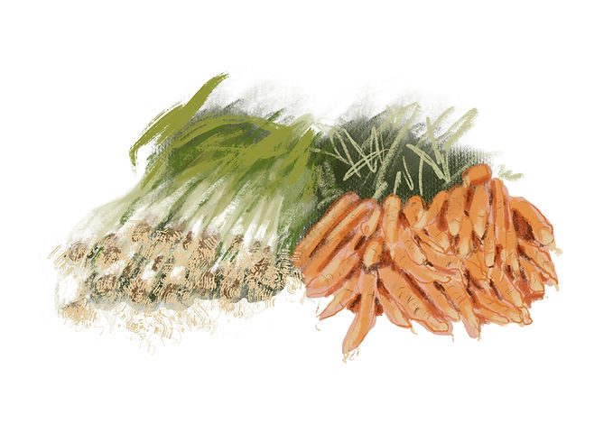 spring onions and carrots.jpg