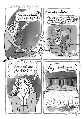 Daily diary comics by Zara M.