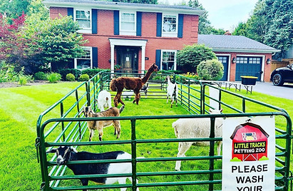 mobile petting zoo