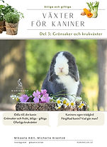 Växter för kaniner, del 3