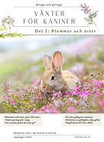 Växter för Kaniner, del 2