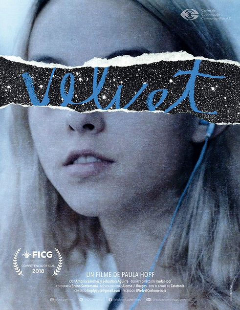 velvet.jpeg