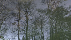blagueuses-impressionecran