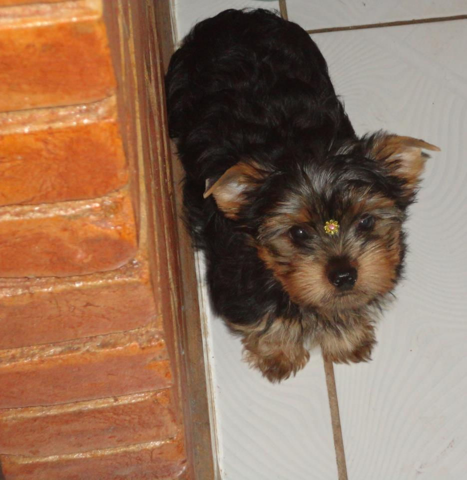 Jully