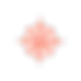 Kompass
