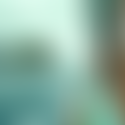 Melhores passeios de barco em Paraty RJ: descubra as águas cristalinas e paisagens incríveis