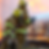 Untitled design (18).png