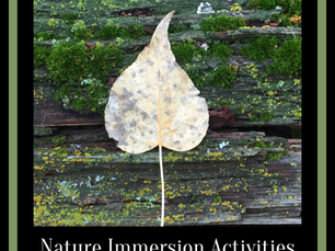 Nature Immersion Activities