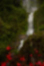 Colombia Waterfall.jpeg
