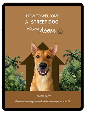 Welcoming a street dog into your home E-book