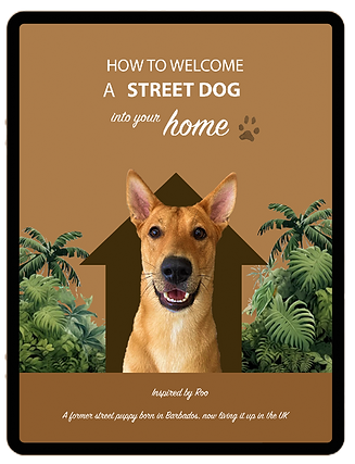 Welcoming a street dog into your home E-book