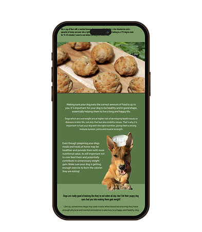 Roo's Natural Cook Book for Dogs | E book