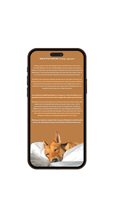 Adopting a Rescue Dog | Guide