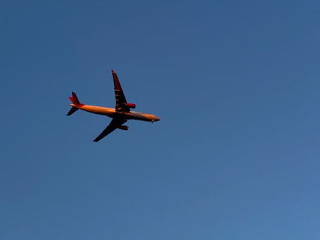 Dog Travel - UK to Barbados