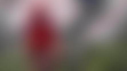 Gregário de luxo acompanha Kristoff na chegada à equipa de Rui Costa