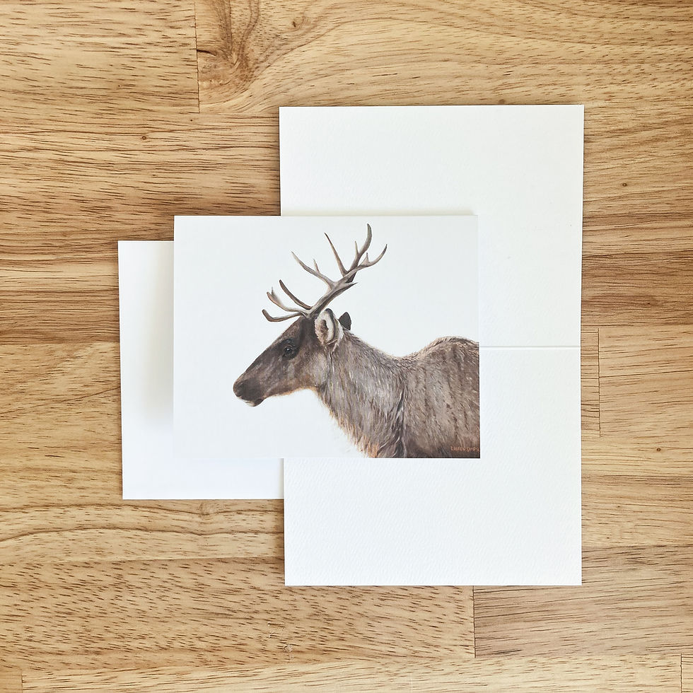 Thumbnail: Apex & Antlers - Four Card Set
