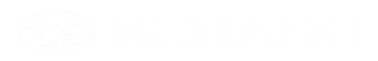 Subaru.png