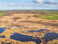 Upcoming events for the paludiculture & peatland community | Late May – Early June 2026