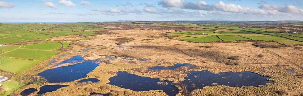 Upcoming events for the paludiculture & peatland community | Late May – Early June 2026