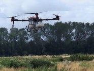 Immersive Virtual Drone Planting Experience
