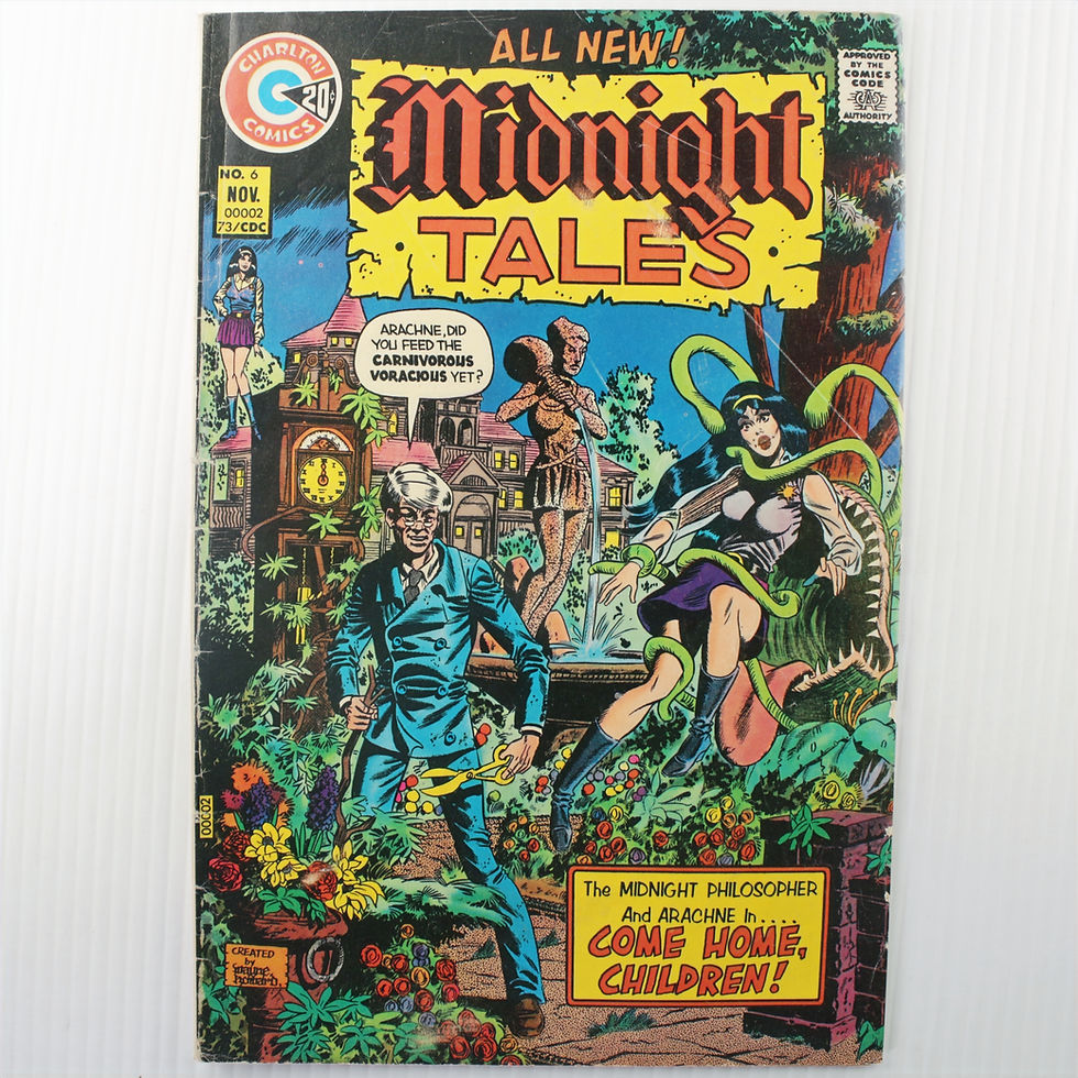 Thumbnail: Charlton Horror Lot – Scary Tales, Midnight Tales, Doctor Graves!