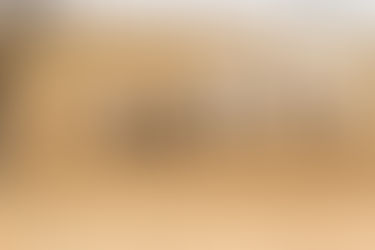 Revisiting the MARWARI HORSE and its Evergreen Legacy