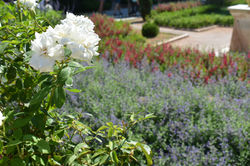 National Garden