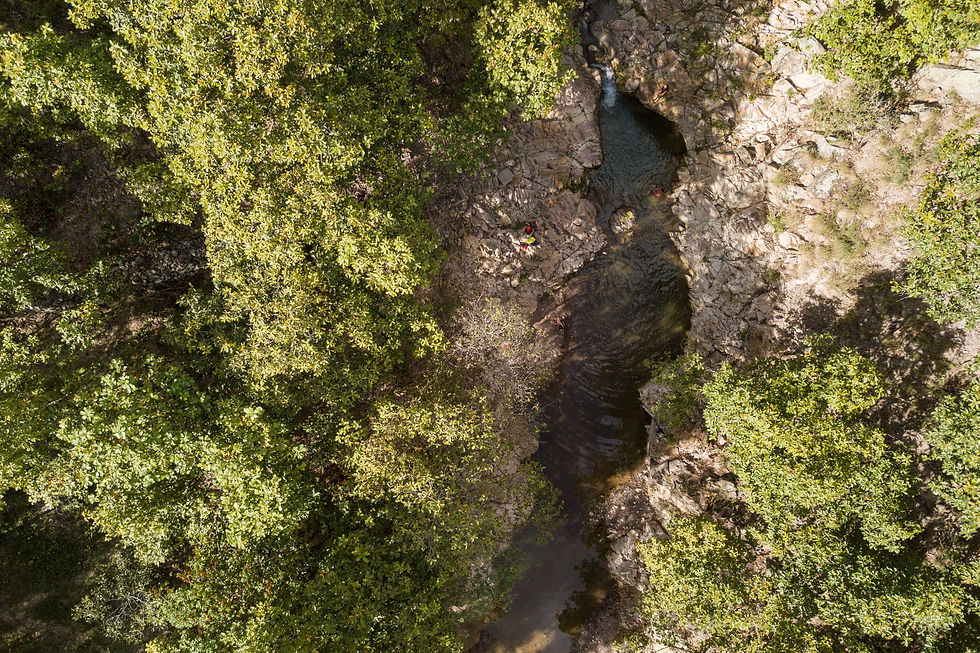 DJI_0096