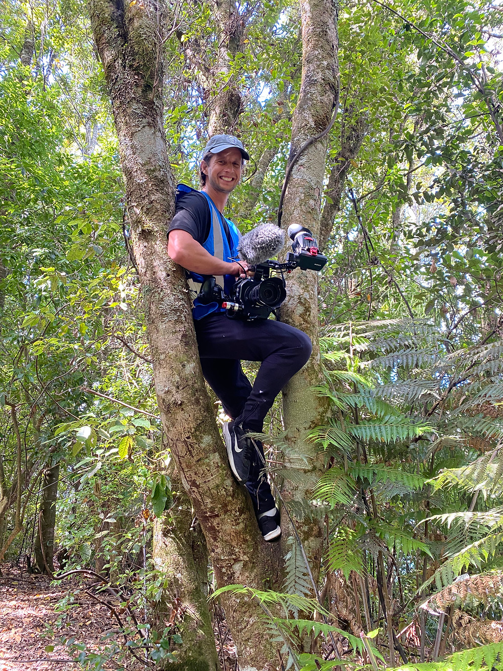 Climbing trees to get the shot at the Tarawera Ultramarathon, filming for Kinetic Media.