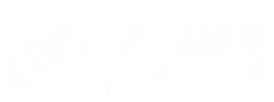 Alexandr Pierre Lemoine