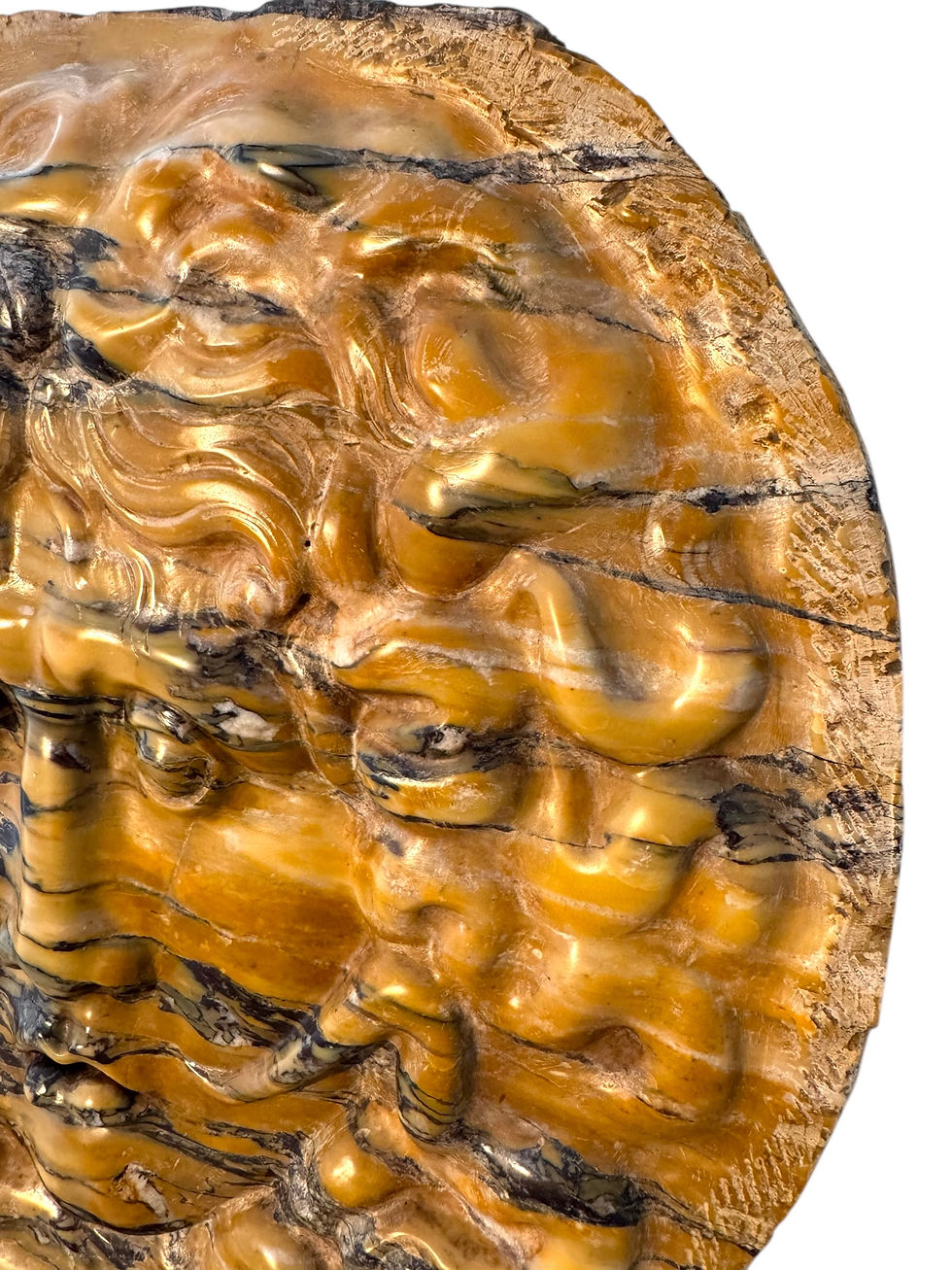 Thumbnail: Italian 19th C. Grand Tour Giallo Antico Yellow Siena Marble Medusa Head