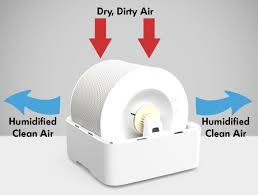 Thumbnail: Boneco W200 AirWasher