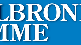 Logo Heilbronner Stimme