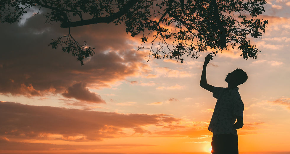Mensch steht bei Sonnenuntergang unter einem Baum und hebt die Hand zu den Blättern – Symbol für Selbstreflexion und innere Stärke