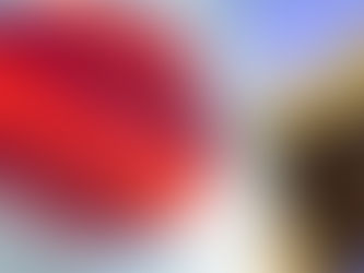 JAPÓN OFRECE SUBSIDIOS A PYMES AFECTADAS POR LA PANDEMIA