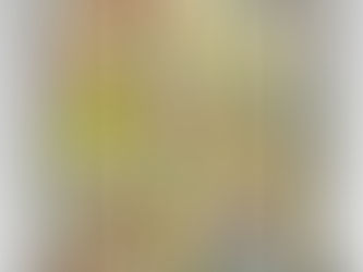 KIMONO EN CONMEMORACION A LA INDEPENDENCIA DE VIETNAM