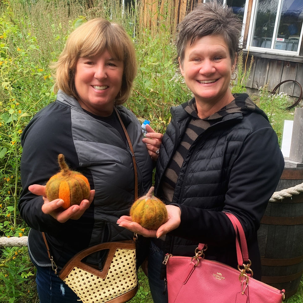 Needle Felt Pumpkins At Shorts Pull Barn