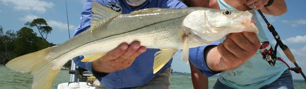 snook.jpg