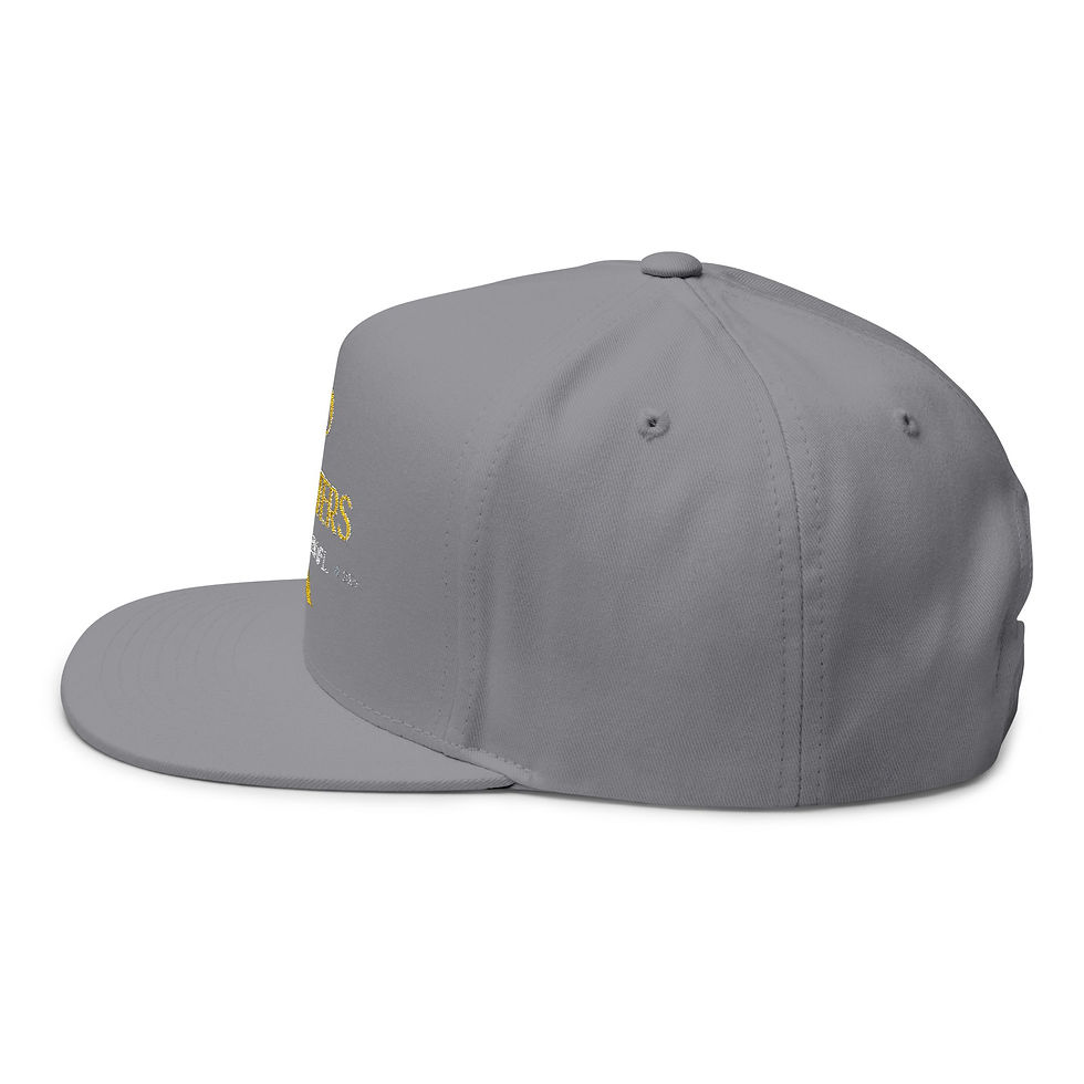 Thumbnail: CTO Hat Chasing The One Charters Flat Bill Cap