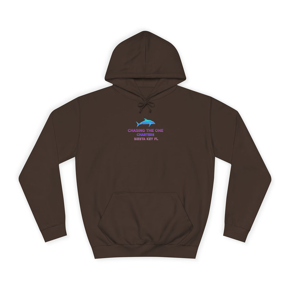 Thumbnail: Chasing The One Charters Siesta Key Fishing Hoodie