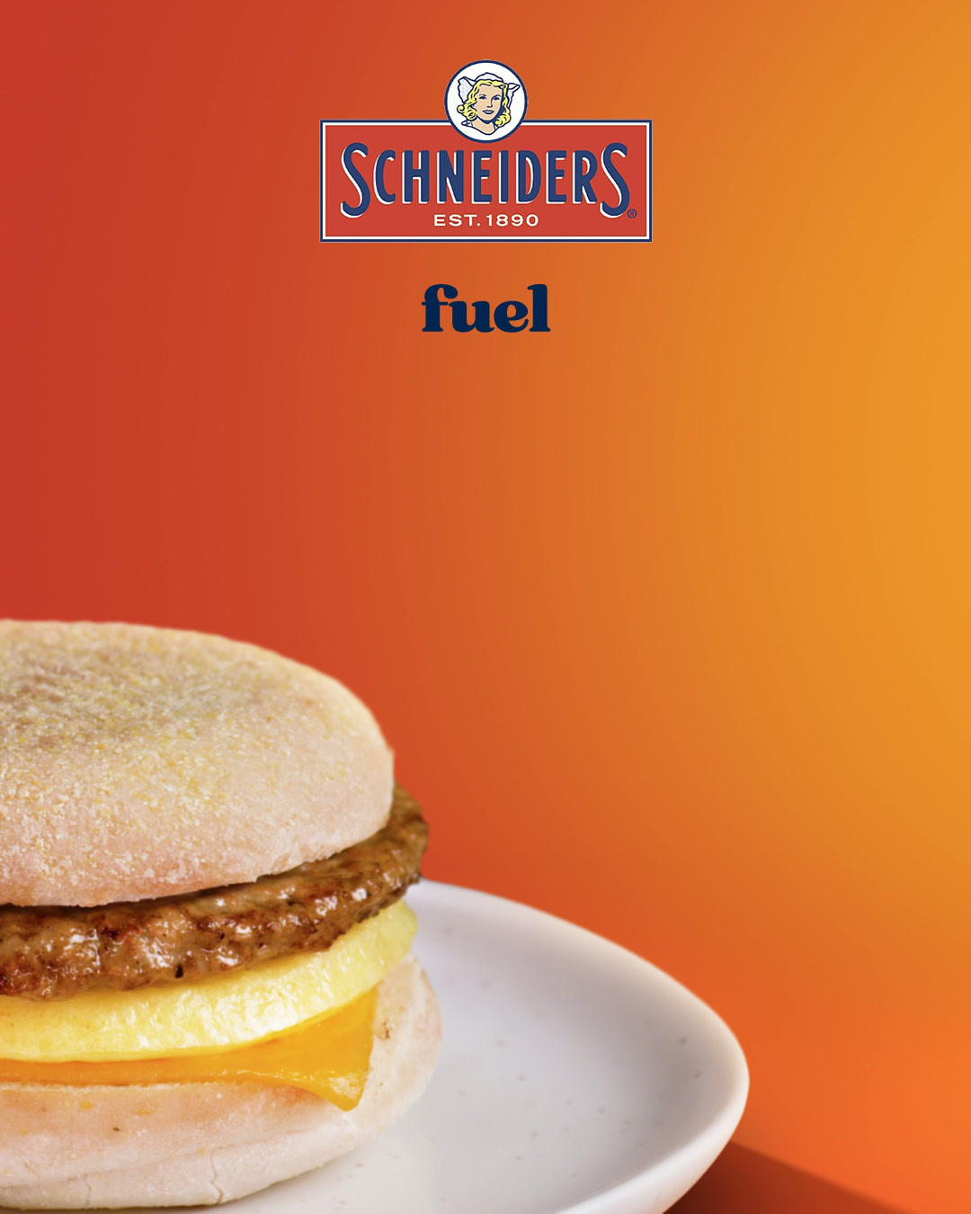 Schneiders
