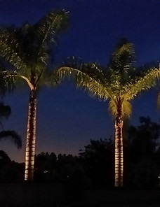 San bernardino Landscape Lighting Installations