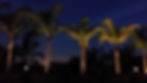 Landscape Lighting