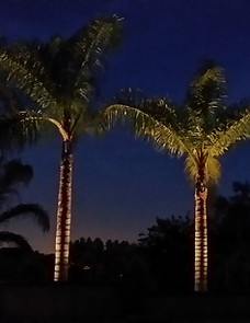 Installation and repair of landscape lighting